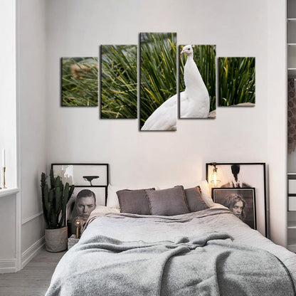 Serene White Peacock 5-Piece Canvas Art Set