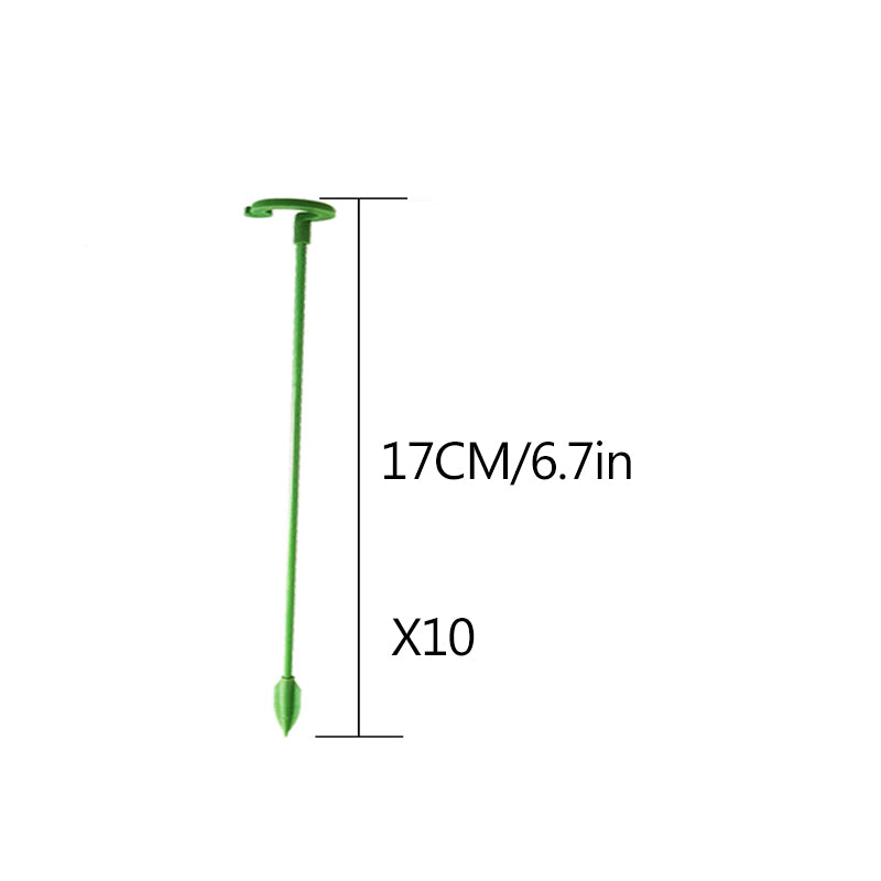Elegant Stem Support for Thriving Plants