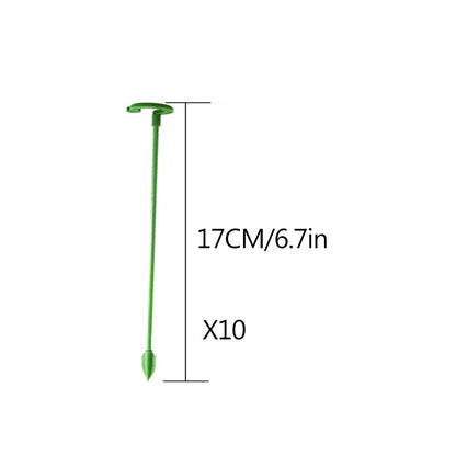 Elegant Stem Support for Thriving Plants