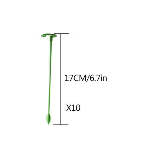 Elegant Stem Support for Thriving Plants