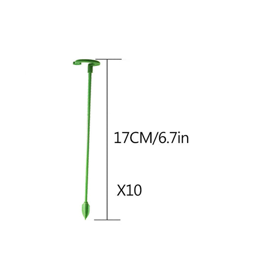 Elegant Stem Support for Thriving Plants