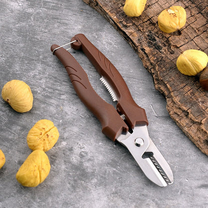 Walnut and Chestnut Shell Opener Tool