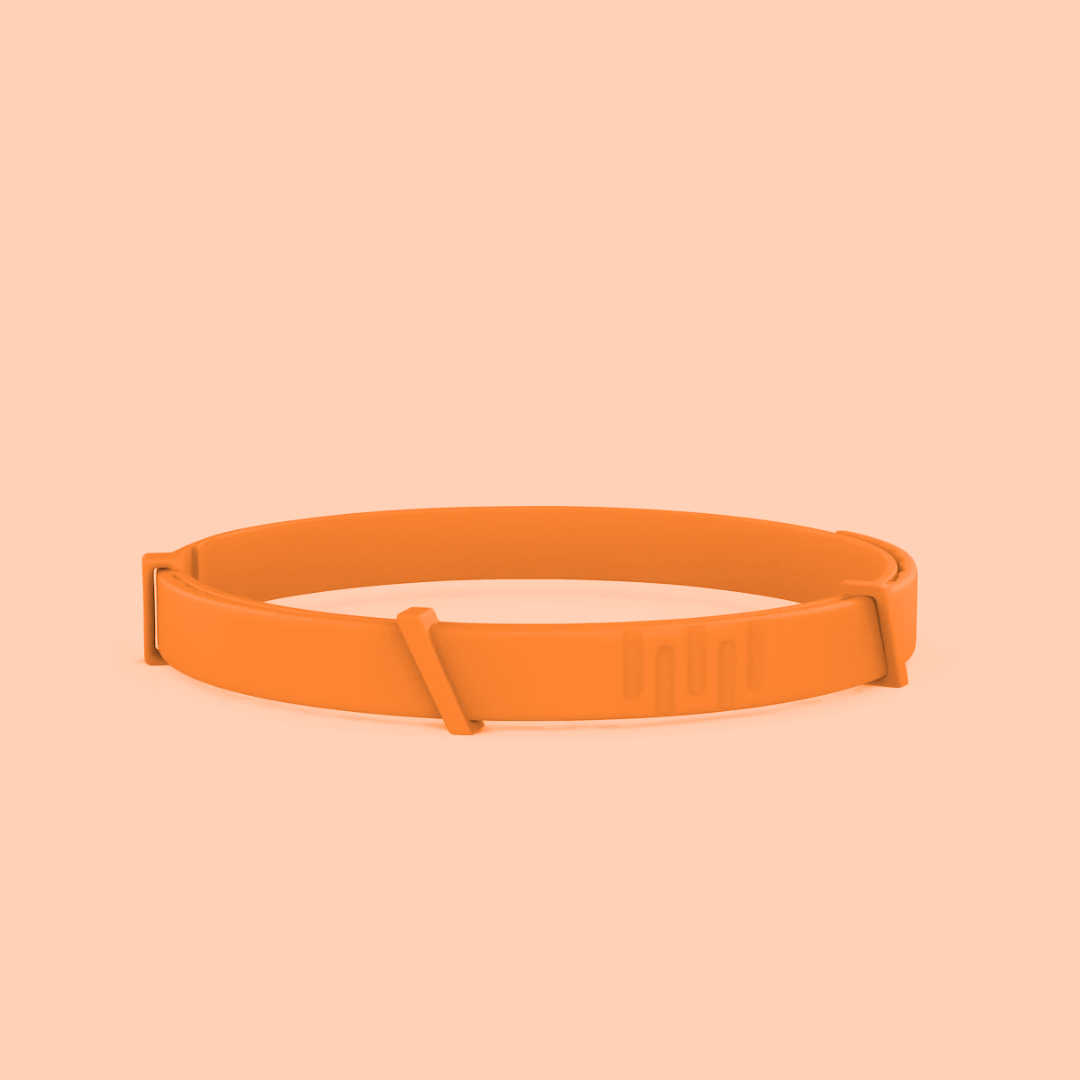 Nature's Serenity Pet Collar for Tick and Flea Defense