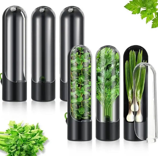 Buy One Get One Free | Fresh Storage Container for Vegetables and Herbs
