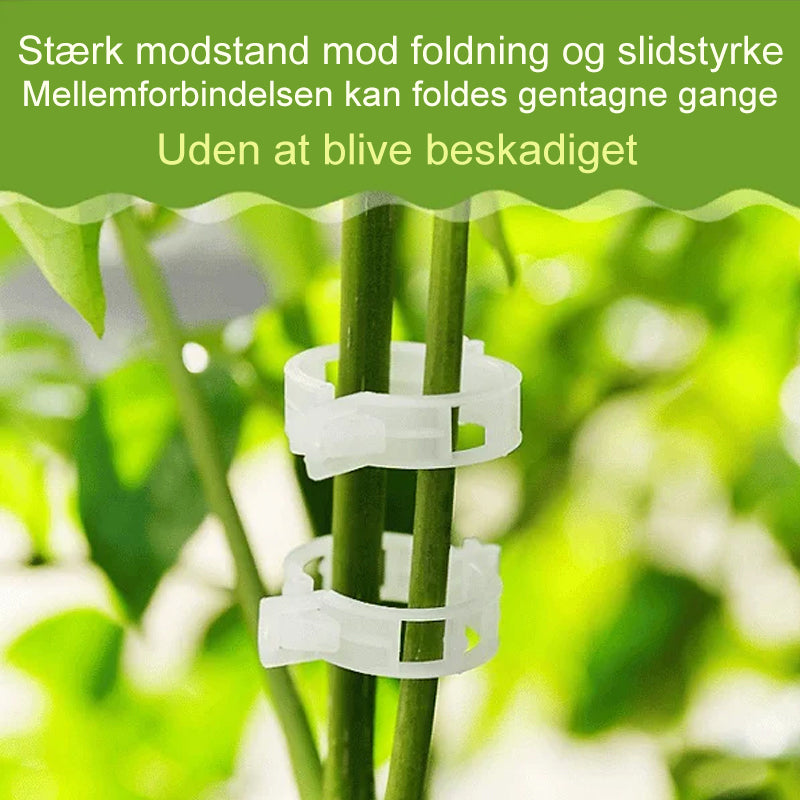 Support Clips for Healthy Plant Growth