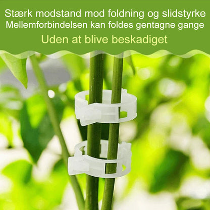 Support Clips for Healthy Plant Growth