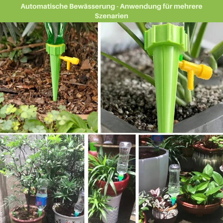 Adjustable Self-Watering Device for Plants - Buy 5, Get 5 Free