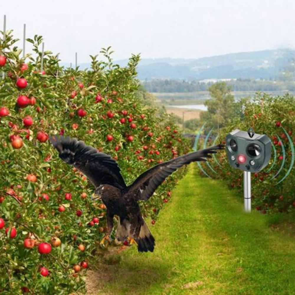 Ultrasonic Solar Pest Repeller