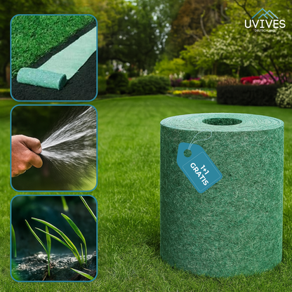 Buy One Get One Free | Easy Care Green Lawn Solution