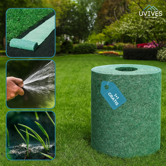 Buy One Get One Free | Easy Care Green Lawn Solution