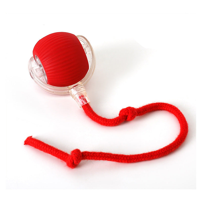 Interactive Ball for Indoor Cats