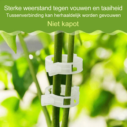 Support Clips for Thriving Plants