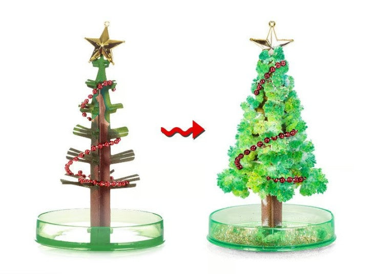 Christmas Tree – Experience the Magic of the Holiday Season