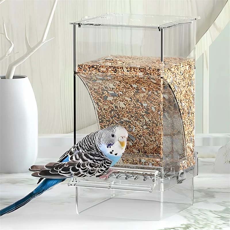 Transparent Bird Feeder with Automatic Overflow Protection