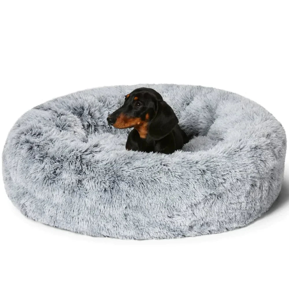 Orthopedic Supportive Dog Beds for Relaxation