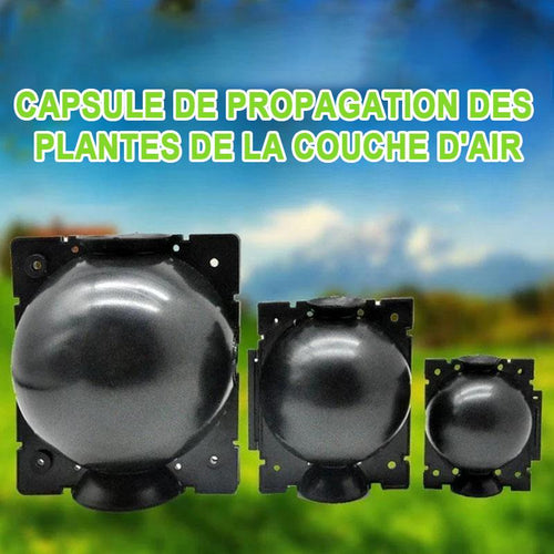 Plant Propagation Capsule for Air Layering