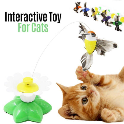 50% Off | Interactive Bird Toy for Cats - Last Day of Discount