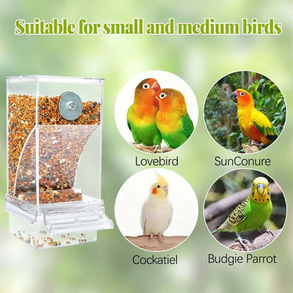 Transparent Bird Feeder with Automatic Overflow Protection
