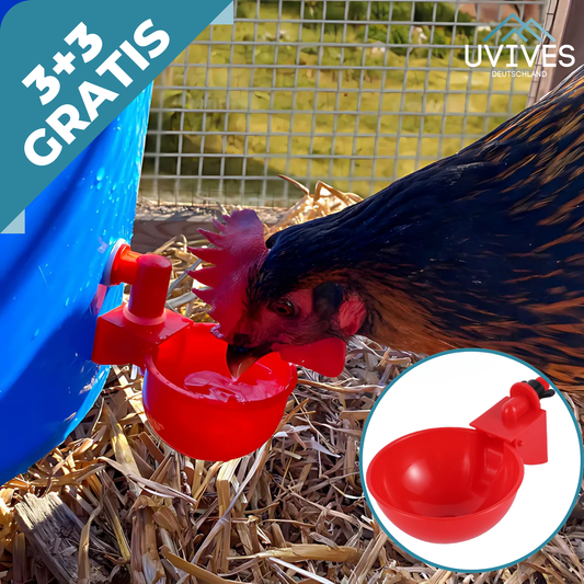 3 for 3 FREE | AquaNest – Clean Water for Happy Pets