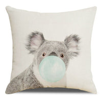 Koala Front
