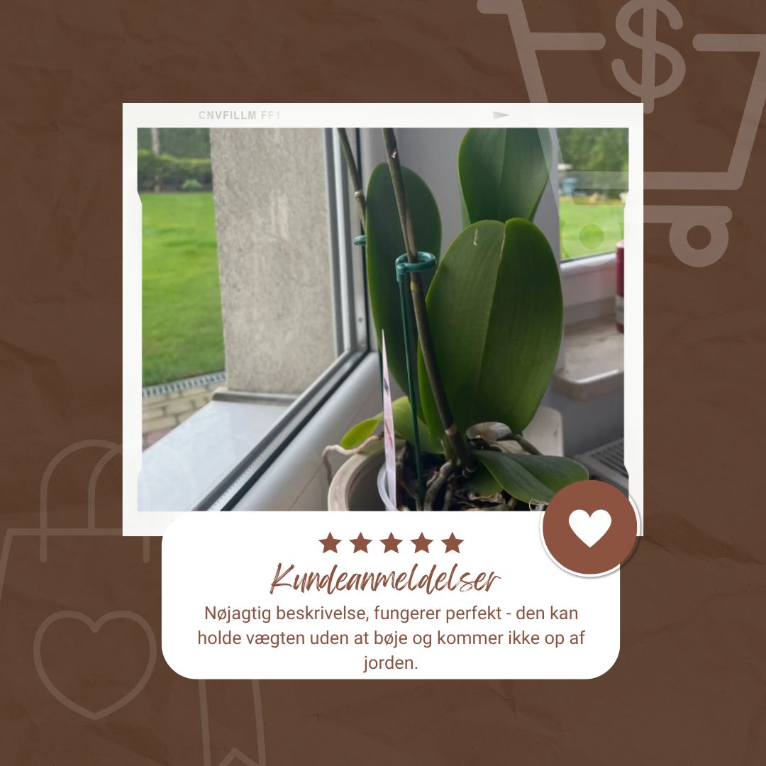Elegant Stem Support for Thriving Plants