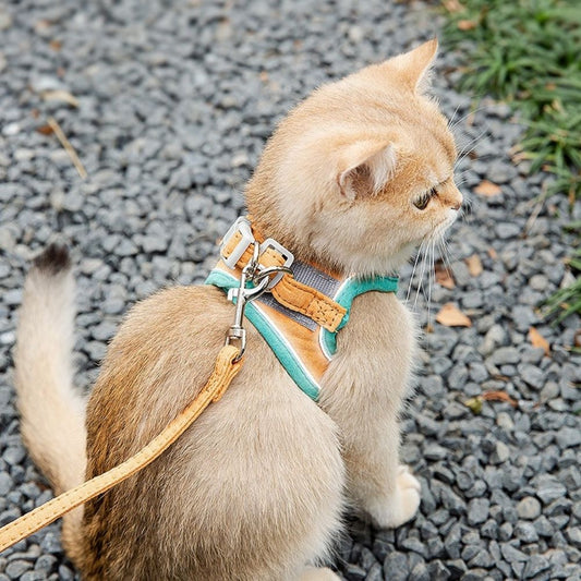 ExploreSafe Cat Harness and Leash Set