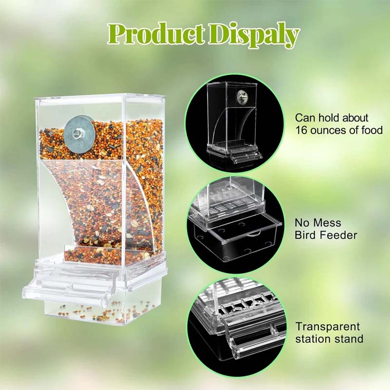 Transparent Bird Feeder with Automatic Overflow Protection