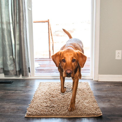 Dog Door Mat for Dirty Paws – Highly Absorbent Floor Mat