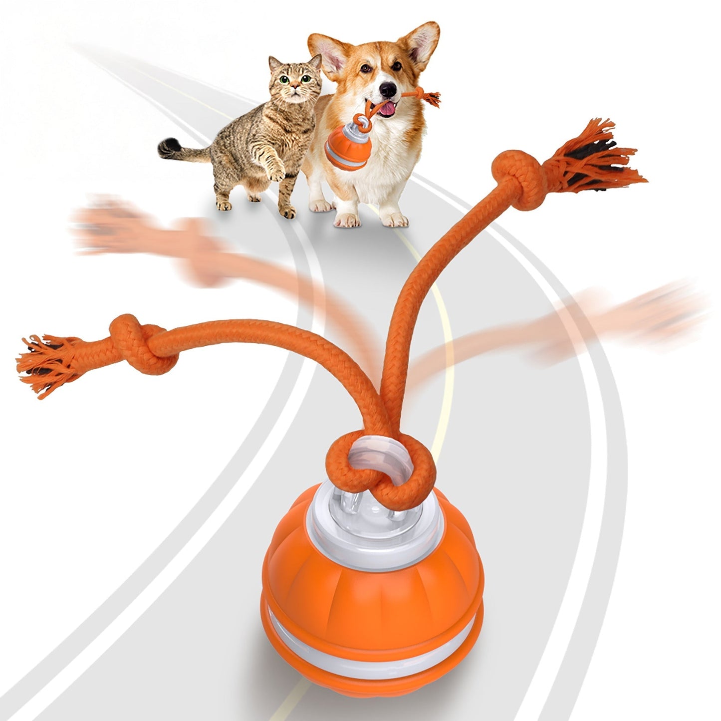 PawiBall – Keep Your Dog Happy and Engaged!
