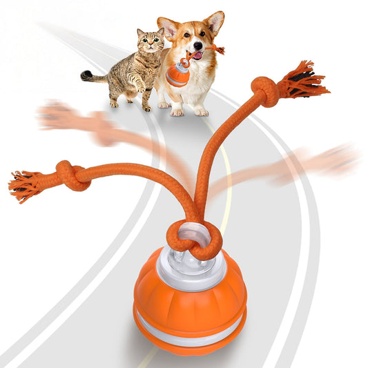 PawiBall – Keep Your Dog Happy and Engaged!