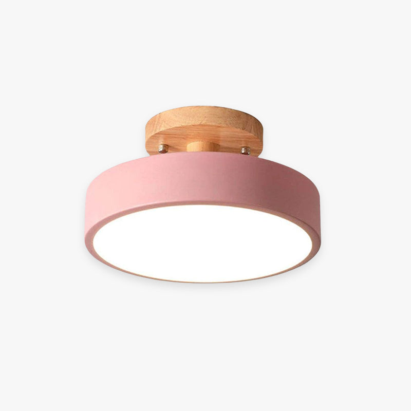 Contemporary LED Ceiling Light Fixture