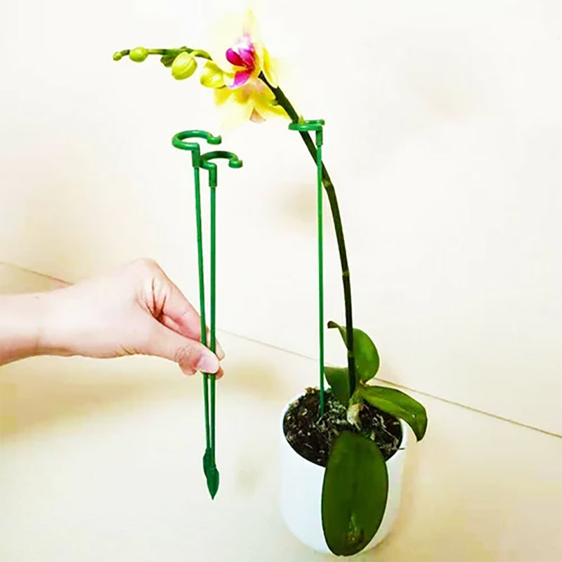 Elegant Stem Support for Thriving Plants