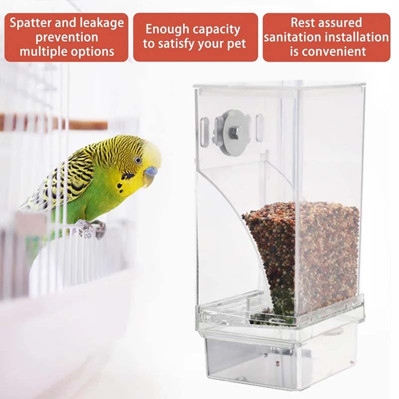 Transparent Bird Feeder with Automatic Overflow Protection