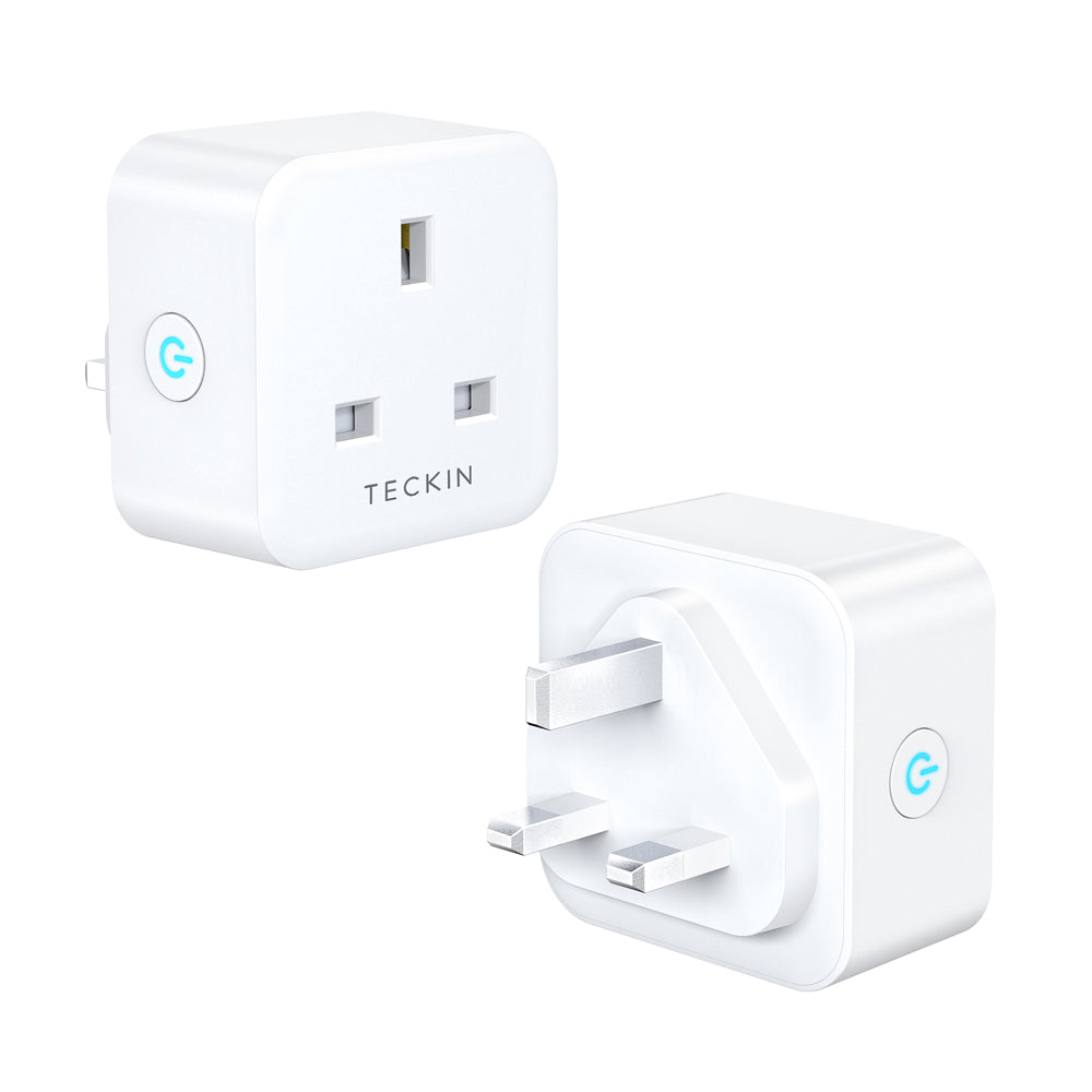 WiFi Smart Outlet with Voice Control and Remote Access
