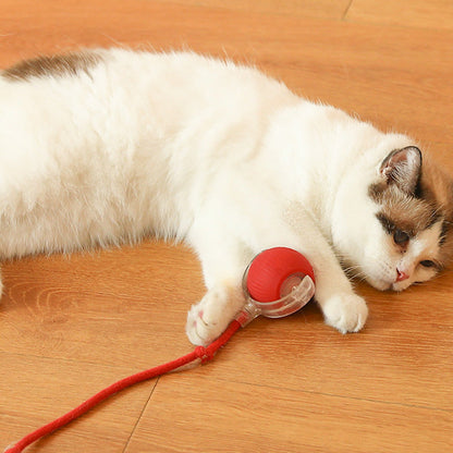 Interactive Ball for Indoor Cats