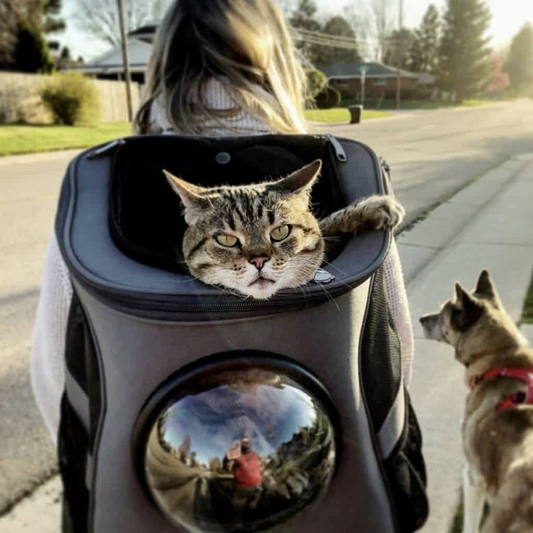 Cat Carrier Backpack with Bubble Window – Roomy and Comfortable Design