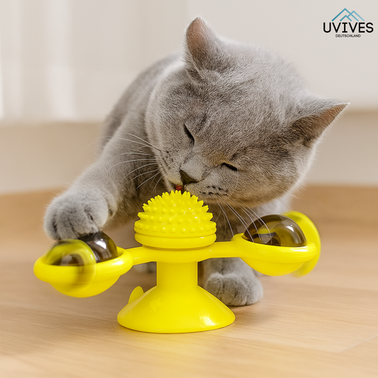 Endless Fun and Exercise for Your Cat