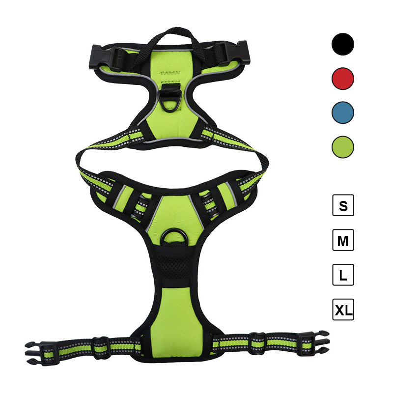 Ultimate 3-in-1 Dog Walking Solution | PupEase