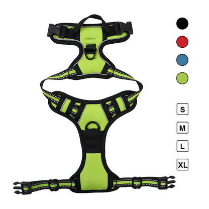 Ultimate 3-in-1 Dog Walking Solution | PupEase