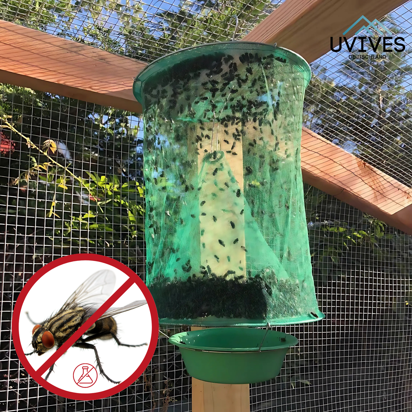 Fly Trap – Say Goodbye to Flies in Home and Garden