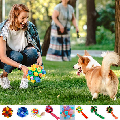 Chew Toy for Dogs