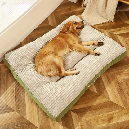 Luxury Dog Bed – Durable Foam, Removable Cover, and Ideal Support