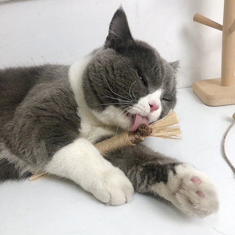 Eco-Friendly Chew Sticks for Feline Dental Health
