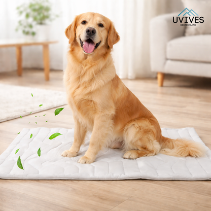 Instant Cooling Solution for Your Dog Anywhere