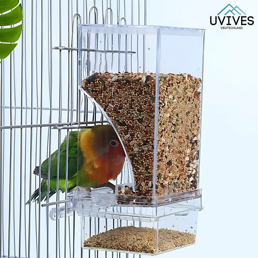 Bird Feeder – Clean Feeding, Happy Birds, Reduced Effort