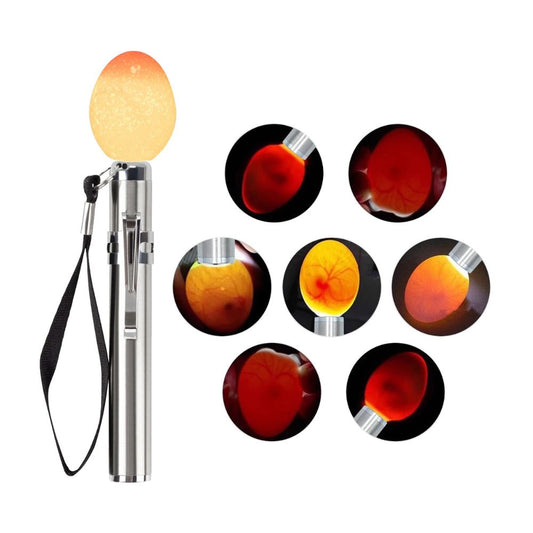 ClarityEgg Light Enhancer
