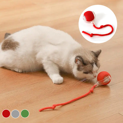 Interactive Ball for Indoor Cats