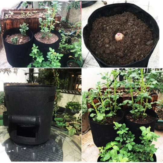Versatile Garden Grow Bag with Viewing Window | Ideal for Vegetables & Herbs | Breathable with Carry Handles