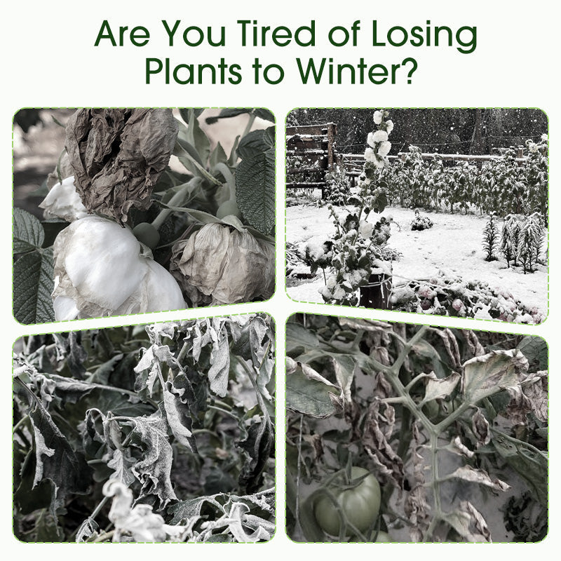 2+3 FREE | Frost Protection for Plants All Season Long