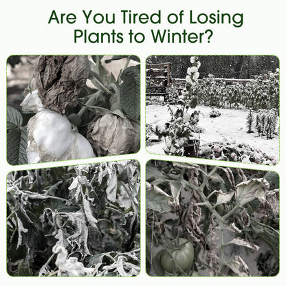 2+3 FREE | Frost Protection for Plants All Season Long